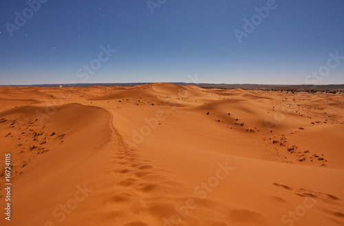 Night in the desert