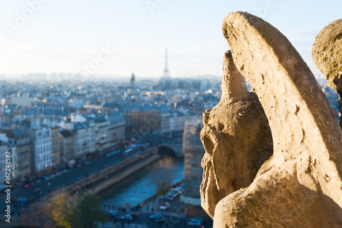 Gargoyle looking at Paris aerial view, France