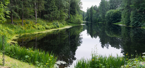 A lake in the Russian forest