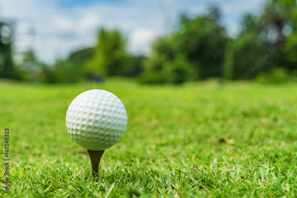 Golf ball on tee ready to be shot Golf ball on tee ready to be shot