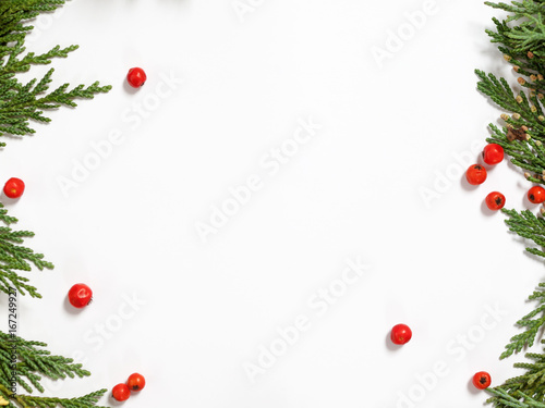 Christmas background border with evergreen fir tree and red berries isolated on white.