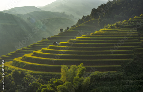 Terraced rice field landscape of Mu Cang Chai, Yenbai, Northern Vietnam photo