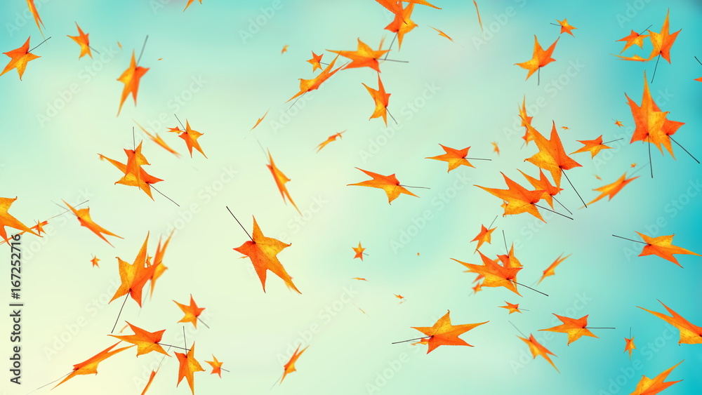 Autumn leaves, happy thanksgiving greeting fall Autumn leaves, happy thanksgiving greeting fall