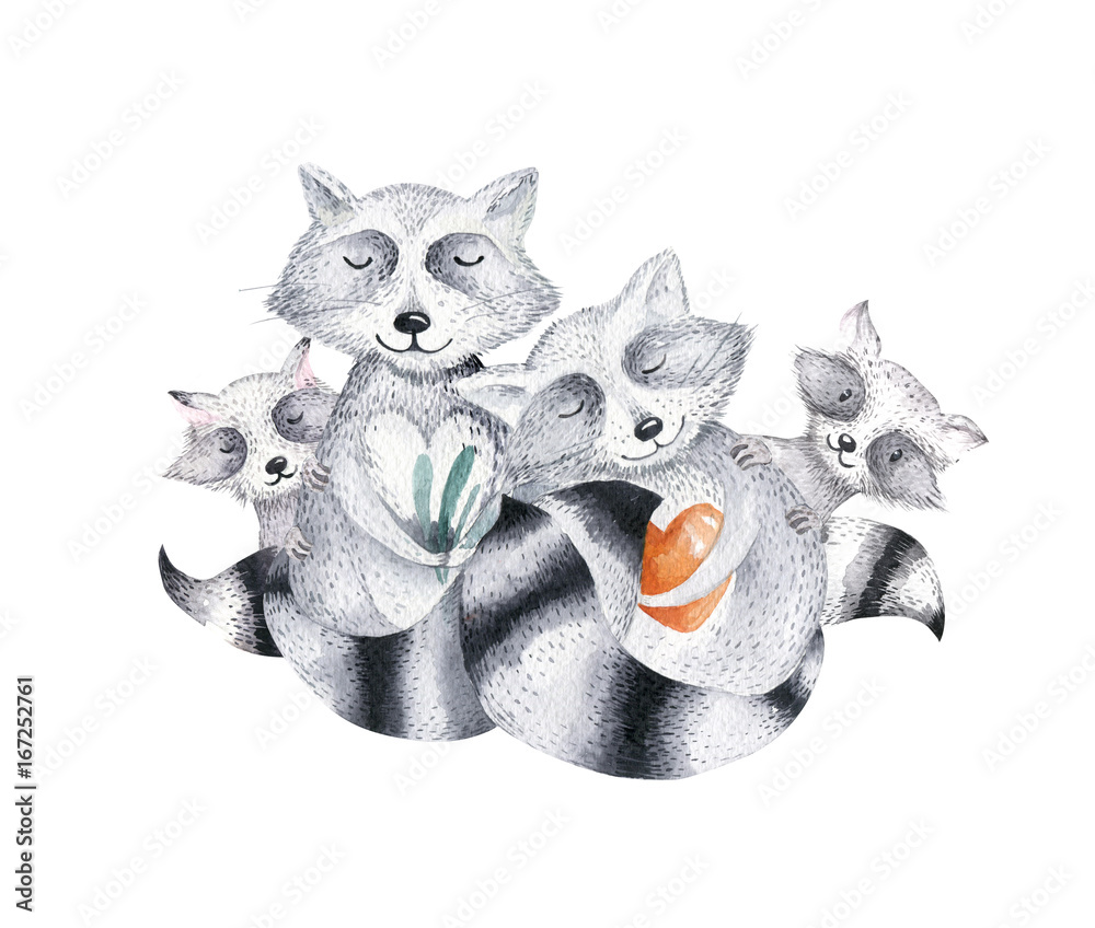 Cute baby raccon nursery animal isolated illustration for children.  Bohemian watercolor boho forest raccons family drawing, watercolour image.  nursery posters, patterns. Birthday invitation Stock Illustration | Adobe  Stock