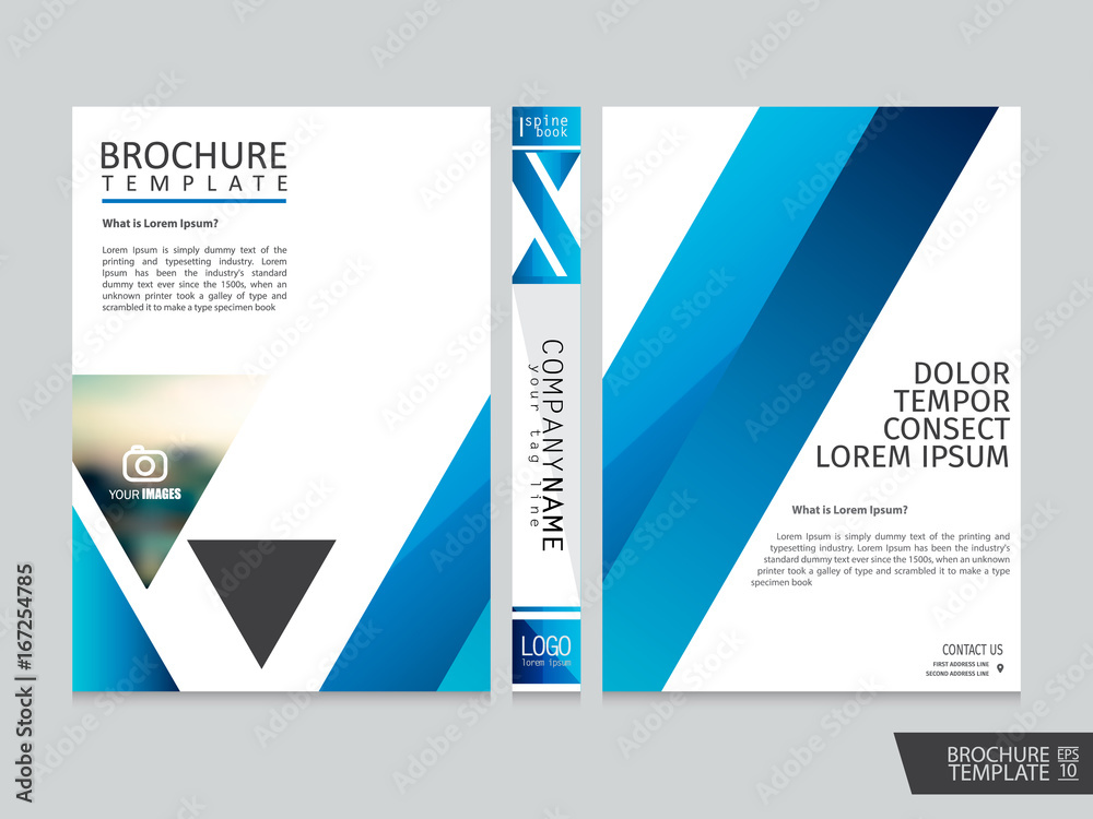 brochure template . Portfolio layout background.Cover book . Poster design.Flyers report business magazine poster and portfolio layout.