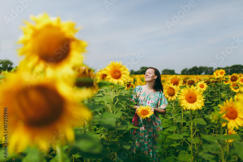 Brunette girl in a field of sunflowers