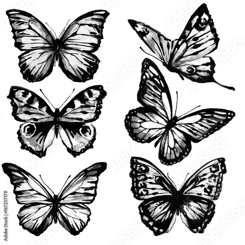 black butterflies, watercolor, isolated on a white
