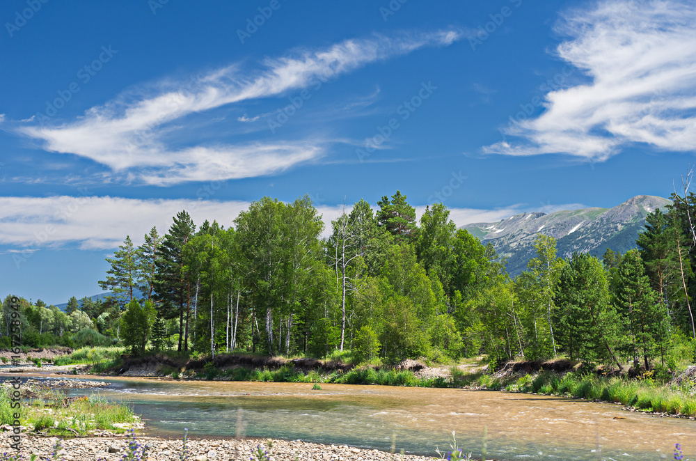 A mountain landscape on a sunny summer day with a river splashing and flowing over rocks, evergreens and trees on the banks and a ridge in the background, Altai Mountains, Kazakhstan A mountain landscape on a sunny summer day with a river splashing and flowing over rocks, evergreens and trees on the banks and a ridge in the background, Altai Mountains, Kazakhstan