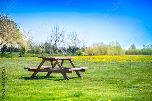 Picnic table on a green meadow with yellow spring flowers and dandelions on background. Early summer time, traveling and family vacation in camping site. Breakfast and picnic outside in an morning