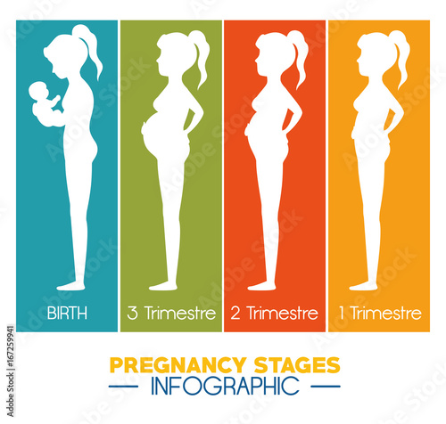 pregnancy and maternity infograhic