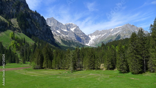 Beautiful forest in the Alps as seen during the cable car ride to Mount Titlis