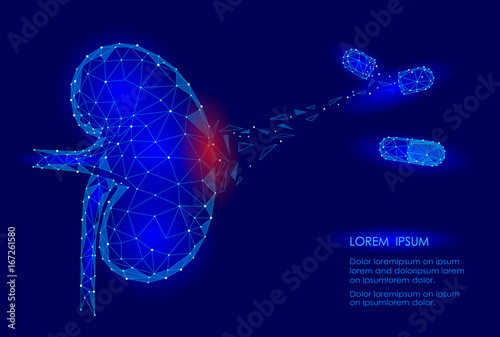 Kidney internal organ men 3d low poly geometric model. Urology system medicine disease treatment drug capsule. Future science technology polygonal geometric wire mesh vector illustration