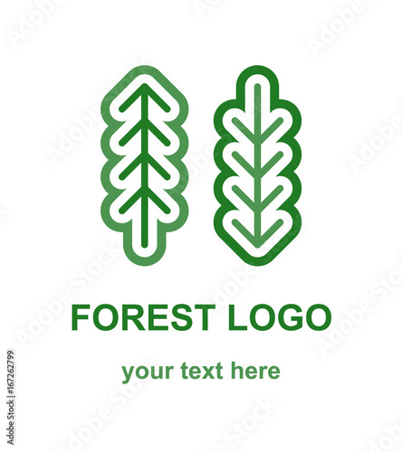 Fir and pine tree logo concept. Linear logotype template with two forest trees. Suitable as a forestry, ecological or environmental emblem. Vector design element isolated on white background.