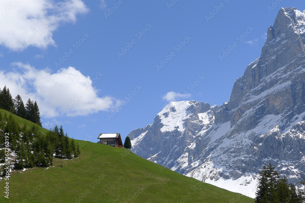 Fototapeta premium Cottage in the Alps