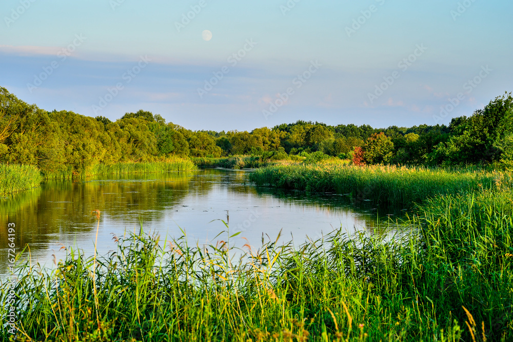 Photo with a river on a clear summer day, landscape Photo with a river on a clear summer day, landscape