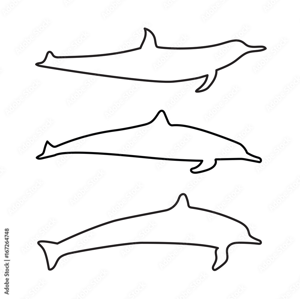 Fototapeta premium black silhouettes of dolphins- vector illustration