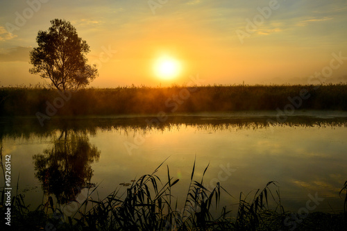 Photo with a summer sunrise by river and tree