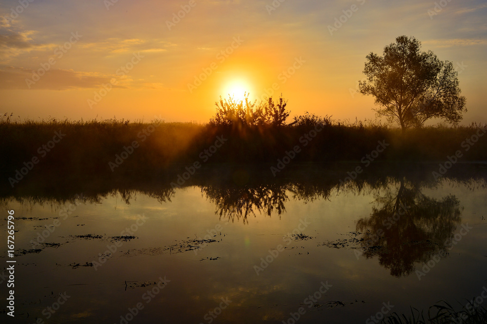Photo with a summer sunrise by river and tree