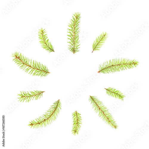 fir tree branches