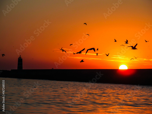 Sunset reflecting on water at the beach - birds silhouettes and a lighthouse in the background