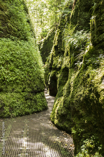 Drachenschlucht Thüringer Wald Eisenach 
