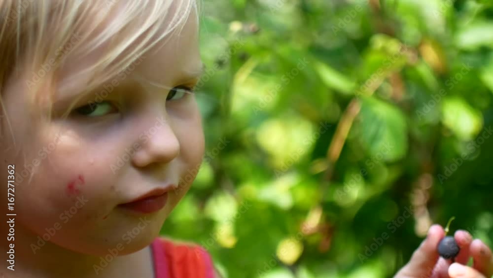 The girl is tearing and eating berries in the garden. The girl is tearing and eating berries in the garden.