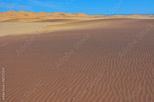 Namibia namib desert