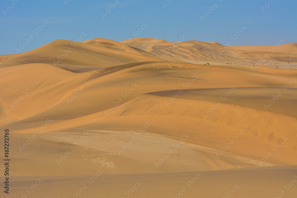 Namibia namib desert