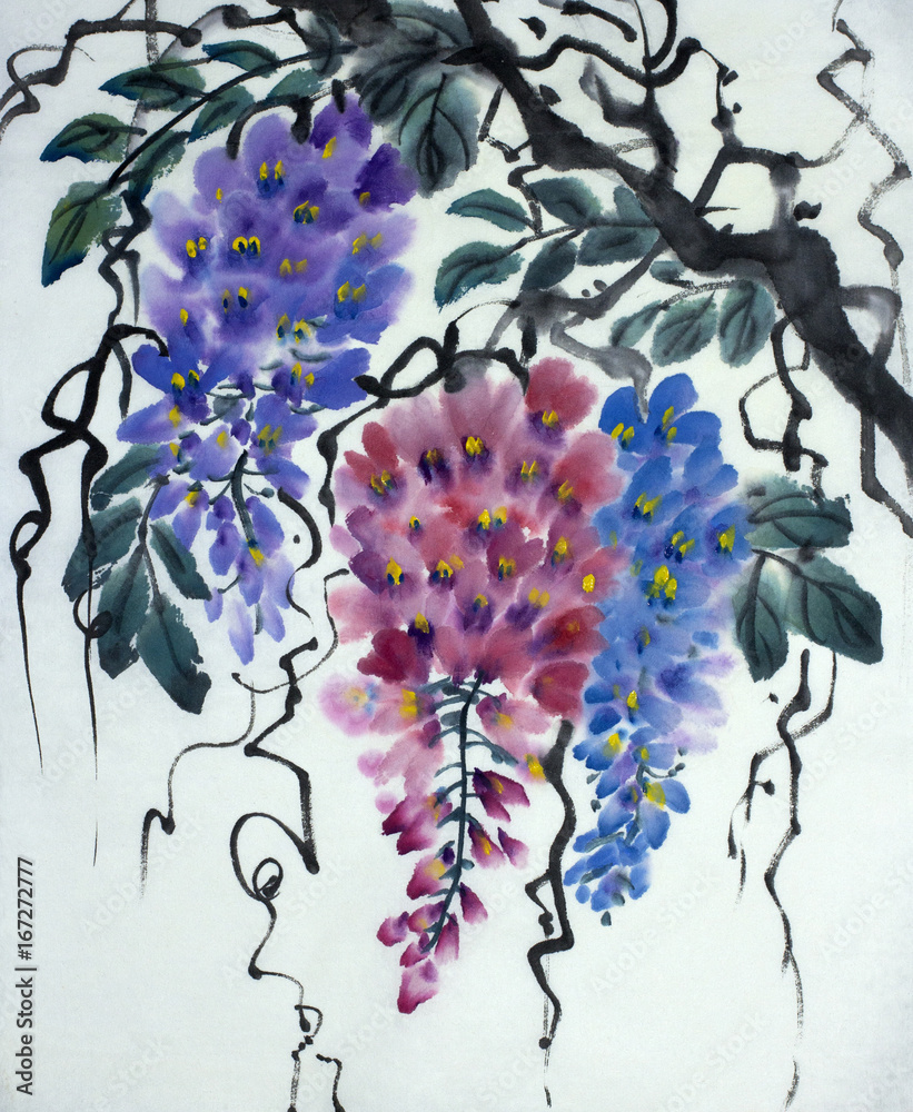 Tender flowering wisteria
