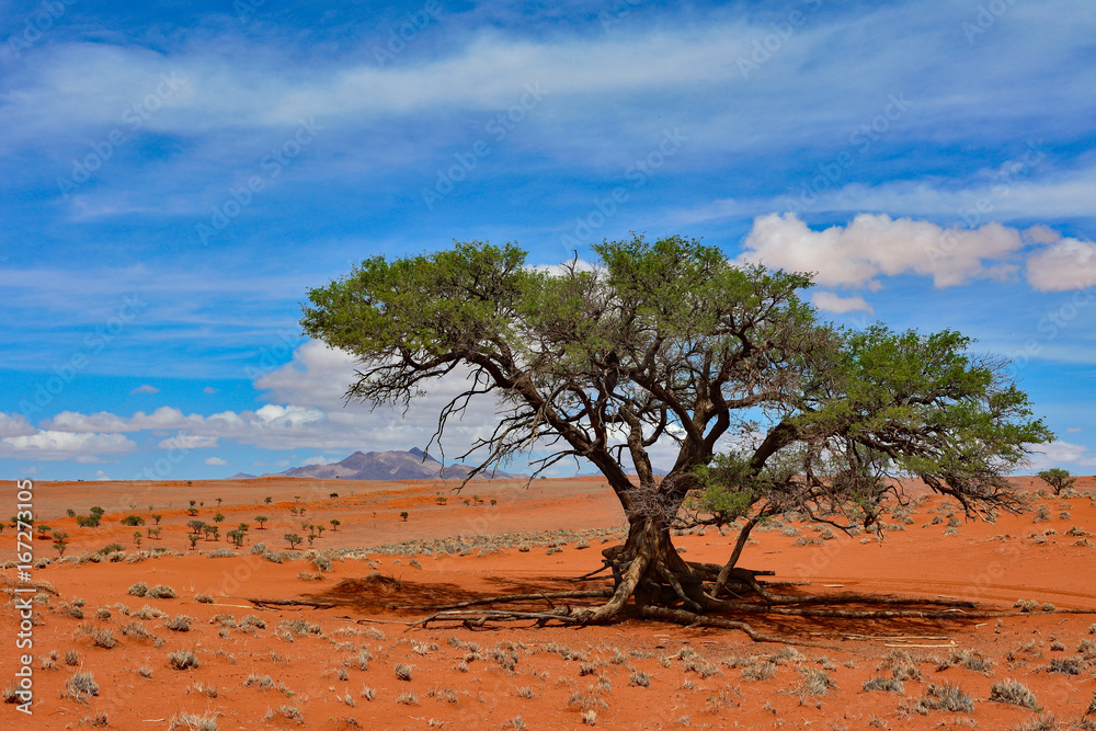 Namibia NamibRand nature reserve