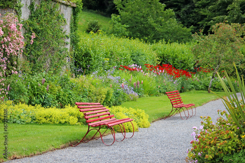 Pathway through the garden  photo