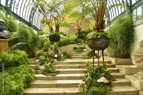 L'escalier en travertin garni de diverses plantes tropicales aux Serres Royales de Laeken à Bruxelles photo