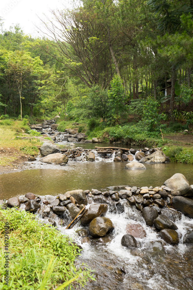 A river forest water stream among stones between rocks A river forest water stream among stones between rocks