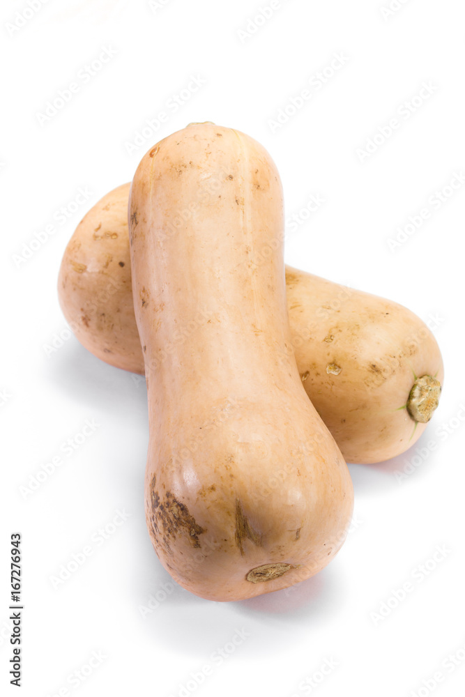 fresh butternut squash fresh butternut squash