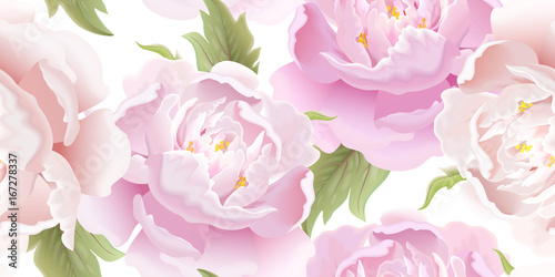 Seamless floral pattern with peony.