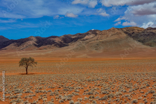 Namibia NamibRand nature reserve