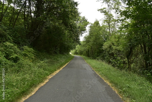 Route de campagne à travers l'un des bois à Champagne, au Périgord Vert 