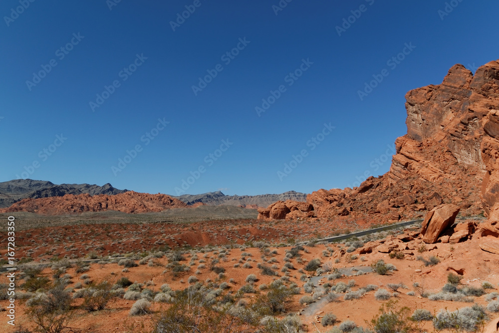 Fototapeta premium Valley Of Fire State Park