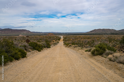 A car drives down a dirt road in the Mojave National Preserve