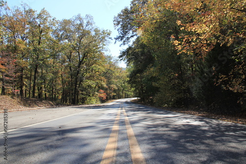 Road in the Woods