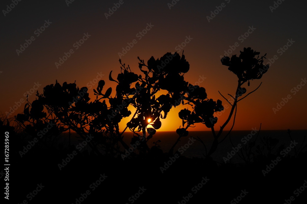 Sonnenuntergangs Traum Sonnenuntergangs Traum