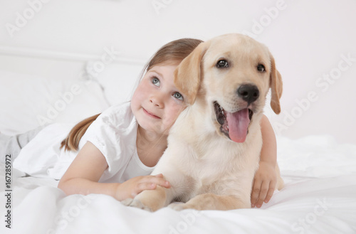 Cute child with Labrador Retriever on bed