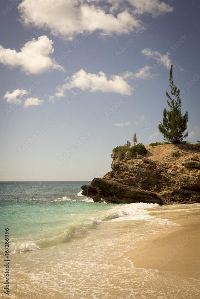 Fototapeta premium caribbean beach