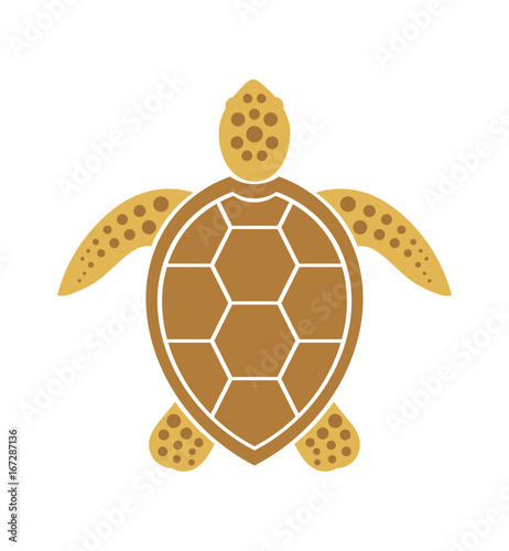 Sea turtle icon