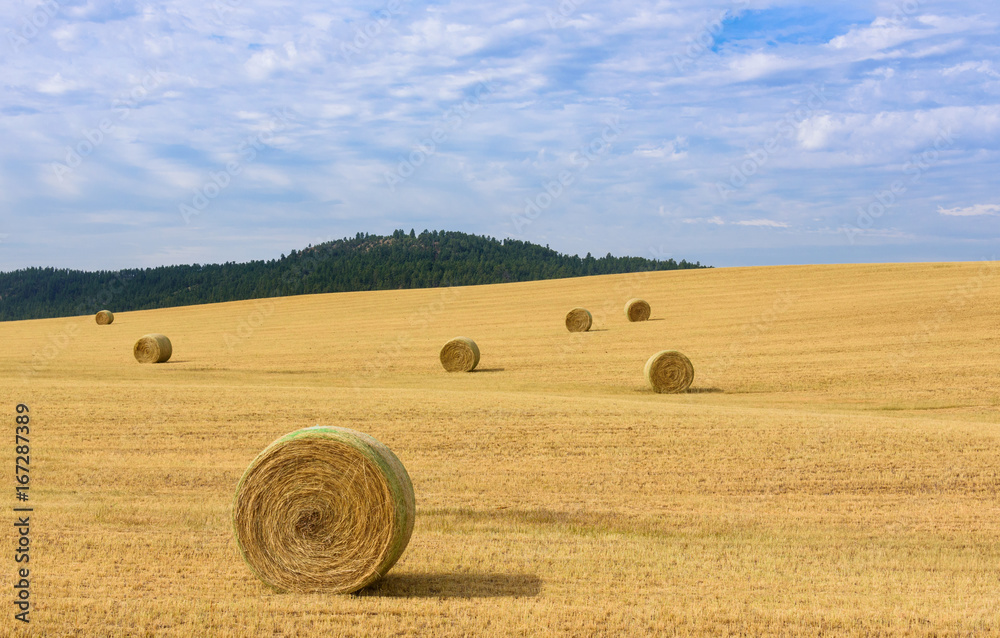 USA countryside. Bales of hay in rural field under beautiful blue sky.
