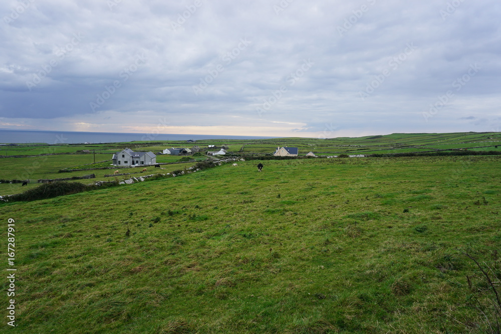 Fototapeta premium Small village, Ireland