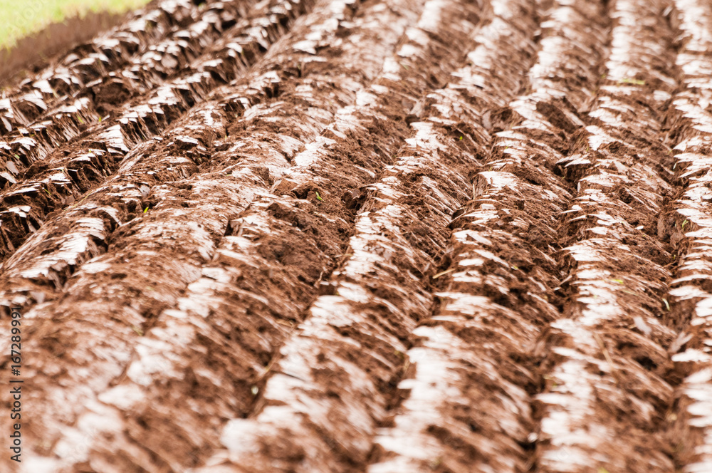 Lisburn, Northern Ireland. 10 Oct 2015 - Freshly ploughed field at the Northern Ireland Ploughing Association championships Lisburn, Northern Ireland. 10 Oct 2015 - Freshly ploughed field at the Northern Ireland Ploughing Association championships