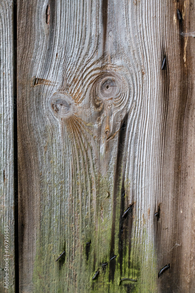Fototapeta premium Marode Bretterwand