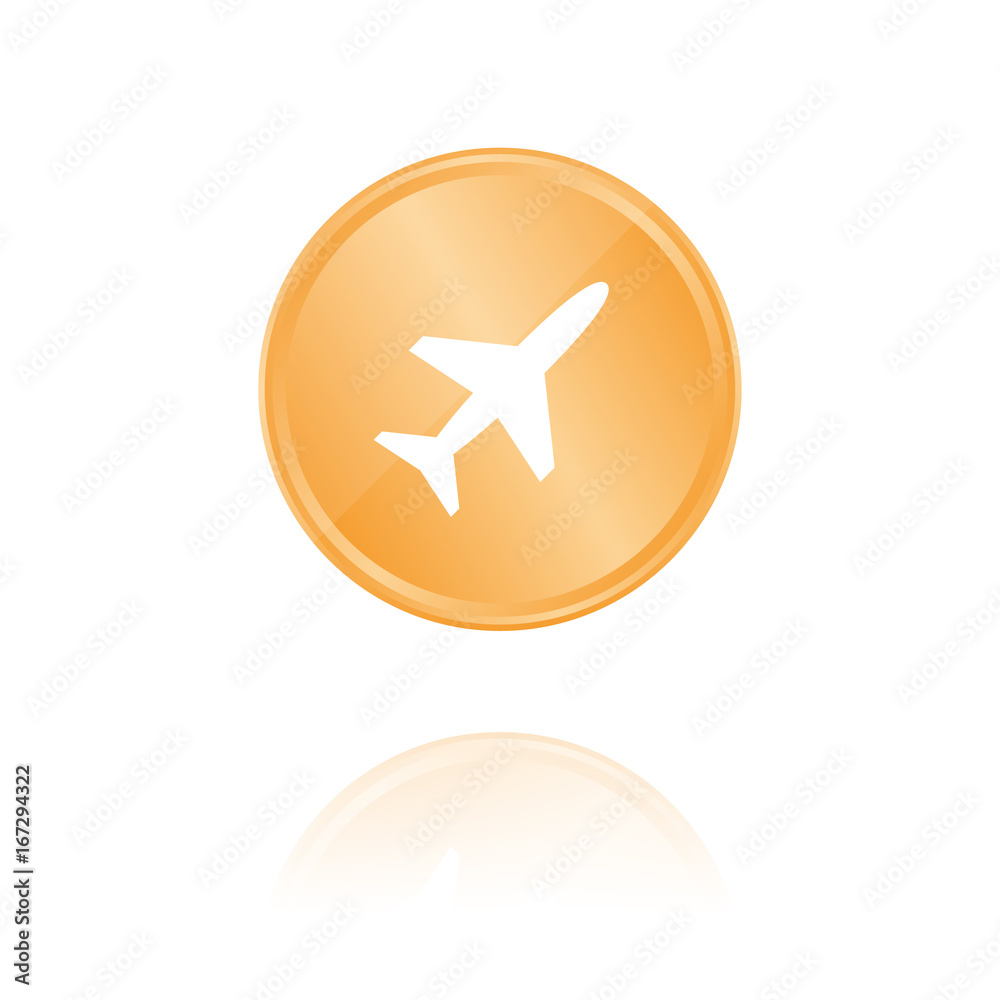 Flugzeug Bronze Münze mit Reflektion