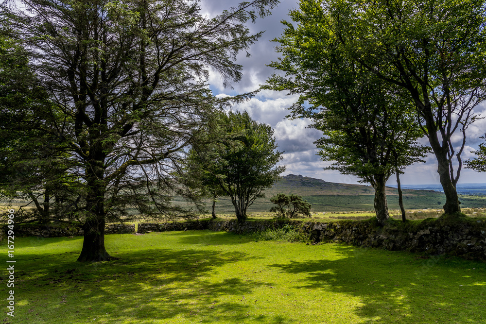 Old Granite Wall with tres on Dartmoor in England UK Old Granite Wall with tres on Dartmoor in England UK
